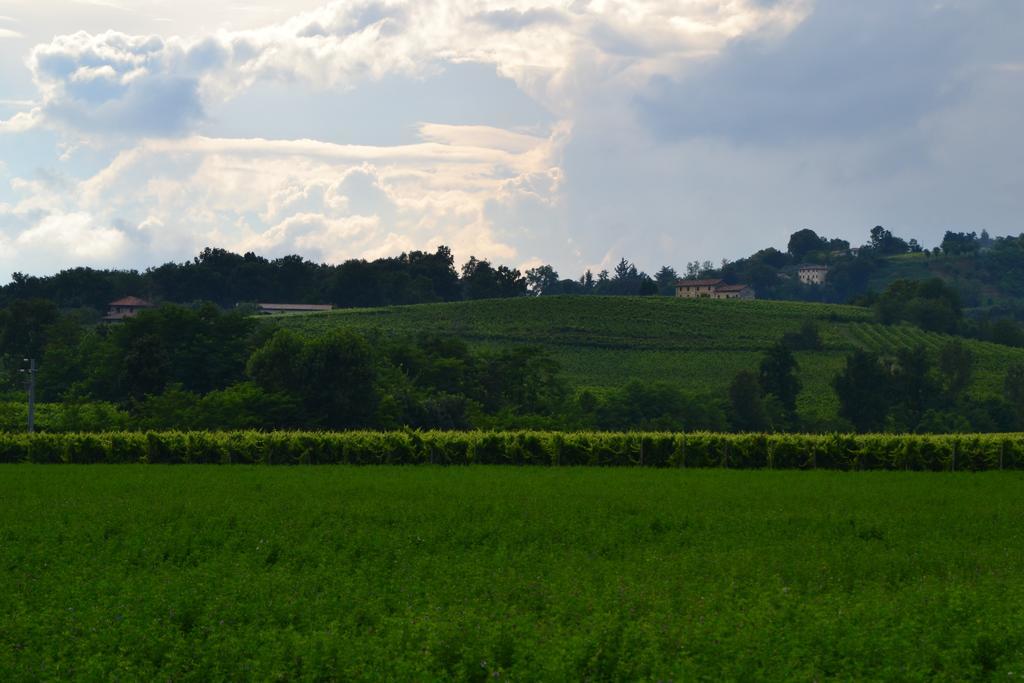 Bed And Breakfast Villa Novella Crocetta del Montello ภายนอก รูปภาพ