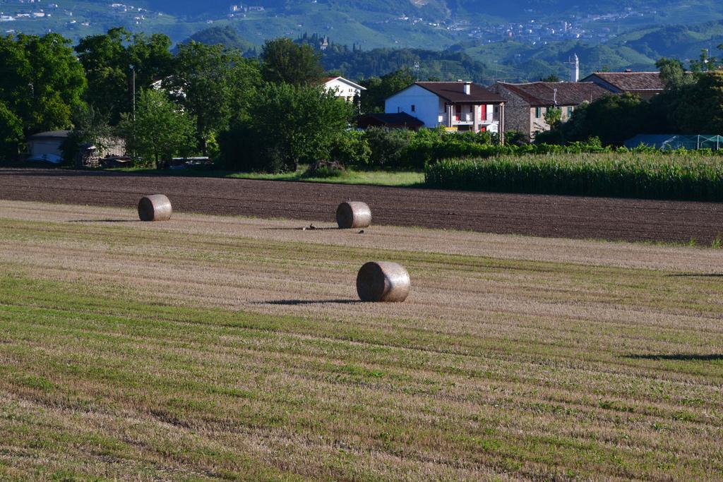 Bed And Breakfast Villa Novella Crocetta del Montello ภายนอก รูปภาพ